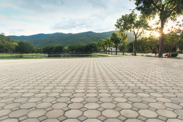 Best Driveway Pavers Near Me  in Rockford, MN